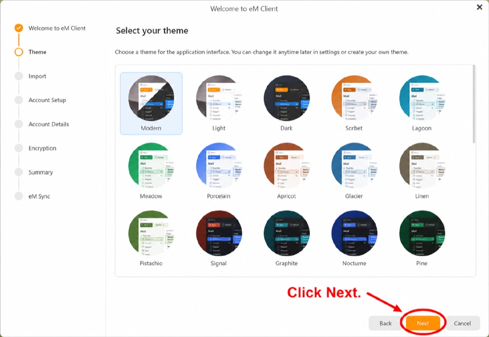 eM Client tema seçim ekranı