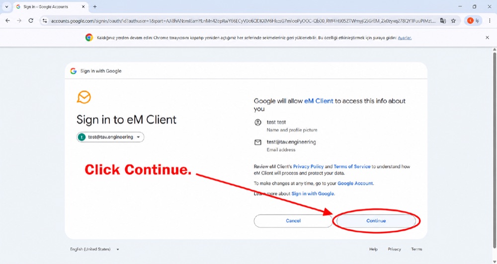 Google — eM Client erişimine izin verme