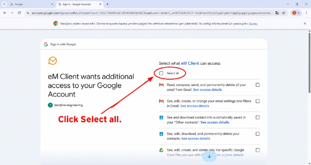 Google — eM Client izinlerini seçme