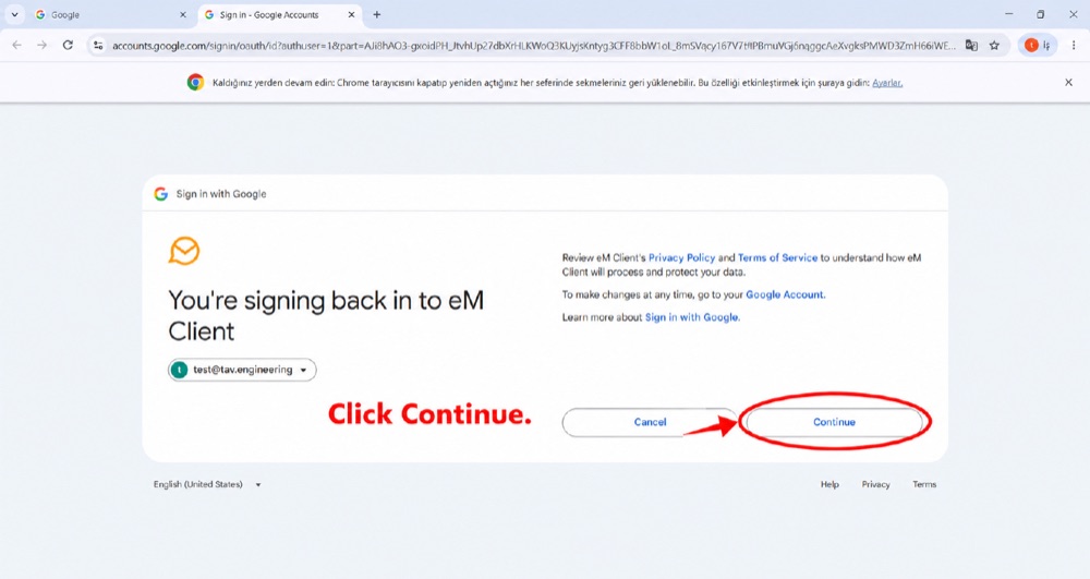 Google — eM Client oturum açmayı tamamlama