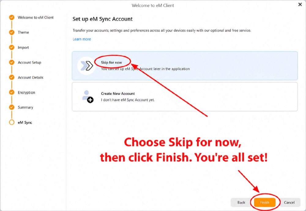 eM Client — eM Sync kurulum ekranı